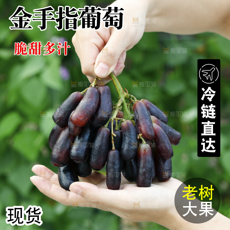 手里捧着一串蓝宝石葡萄