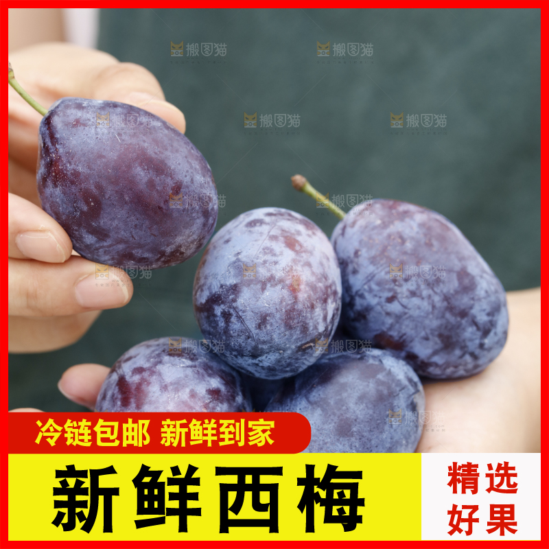 手上放着新疆大西梅