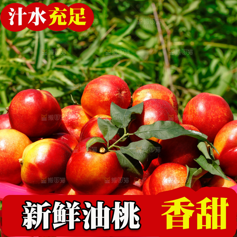 篮子里的新鲜油桃