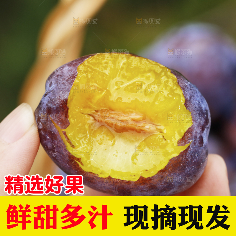 手上拿着新鲜西梅