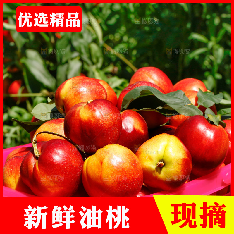 篮子里的新鲜油桃
