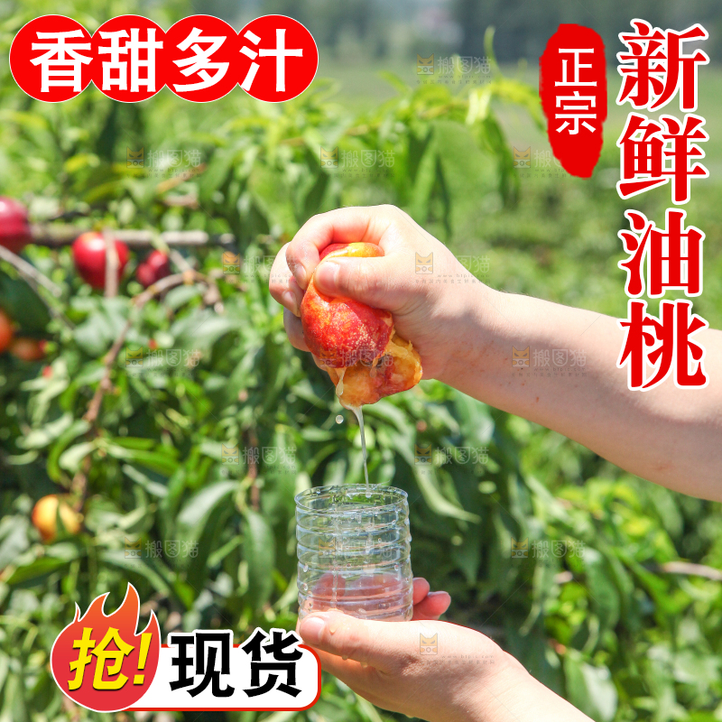 手里爆汁的油桃