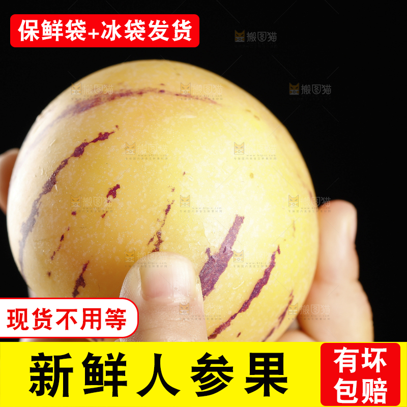 手上拿着的新鲜人参果