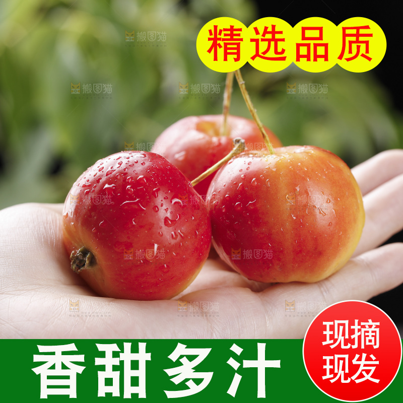 手上放着新鲜海棠果