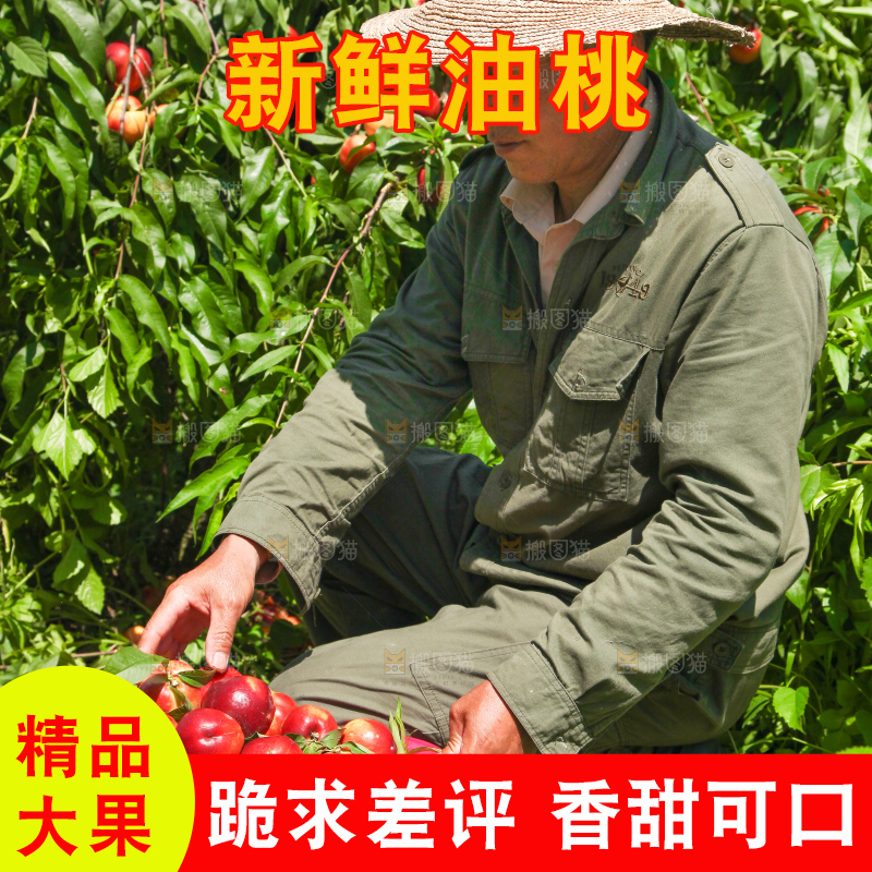 农民手里拿着一篮油桃