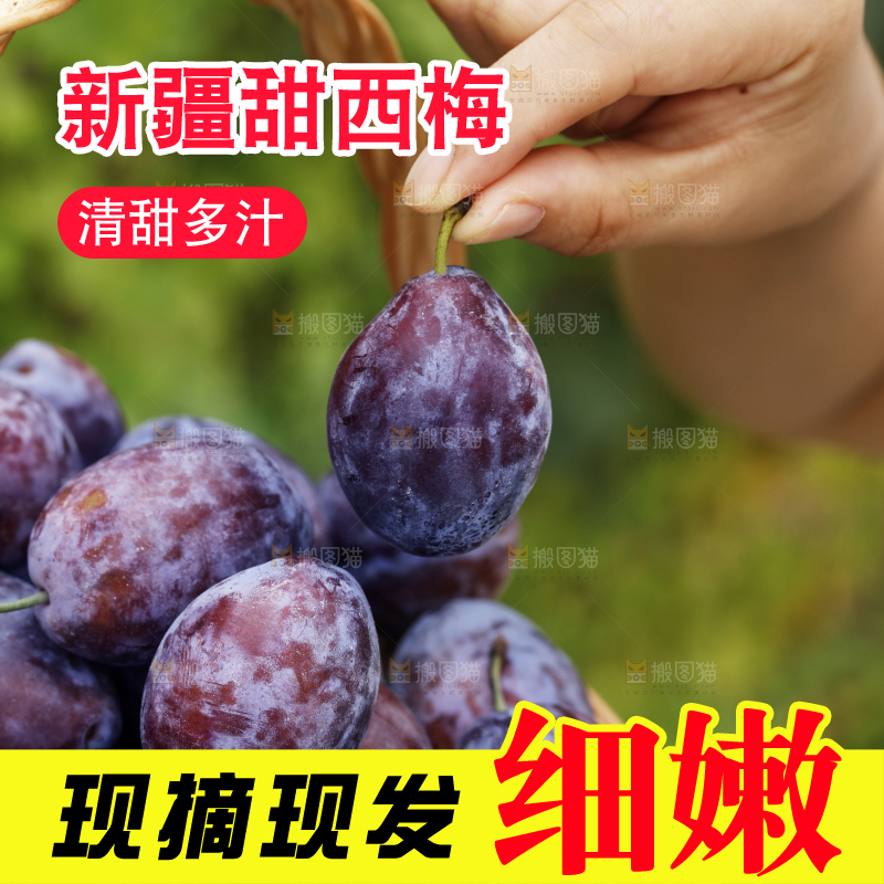 手里拿着新鲜大西梅