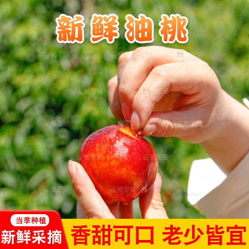 手里剥皮的黄心油桃