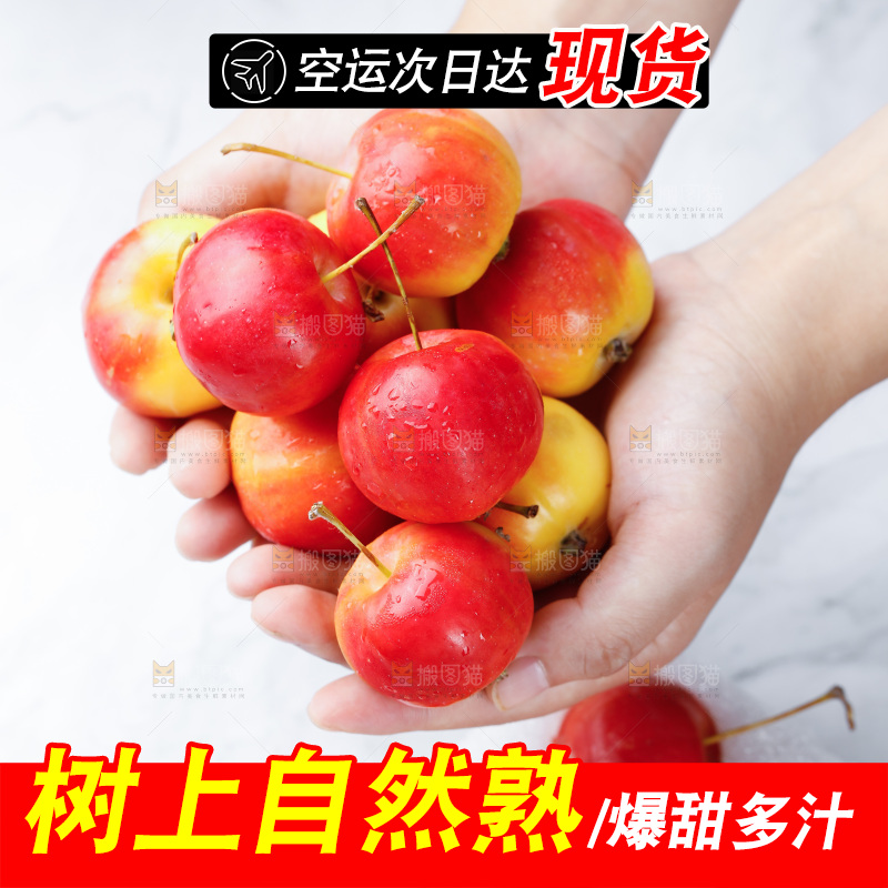 手里捧着新鲜海棠果