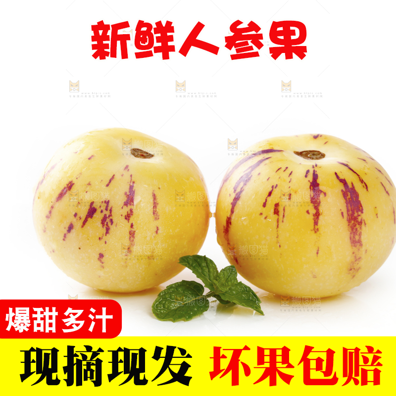 白底上的人参果