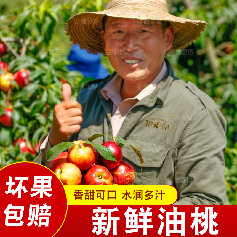 农民拿着一篮新鲜油桃