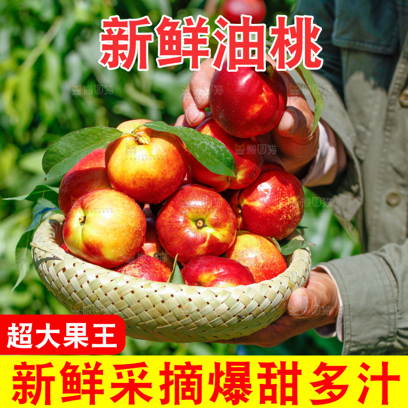 手里拿着一篮新鲜油桃