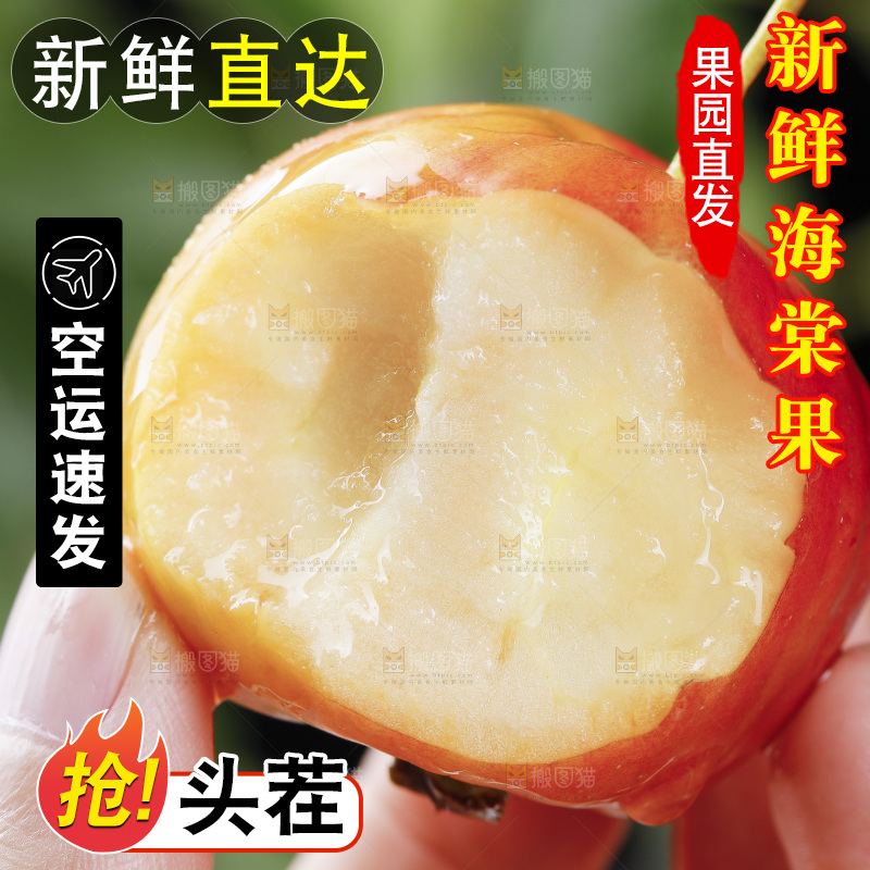 手上拿着东北海棠果