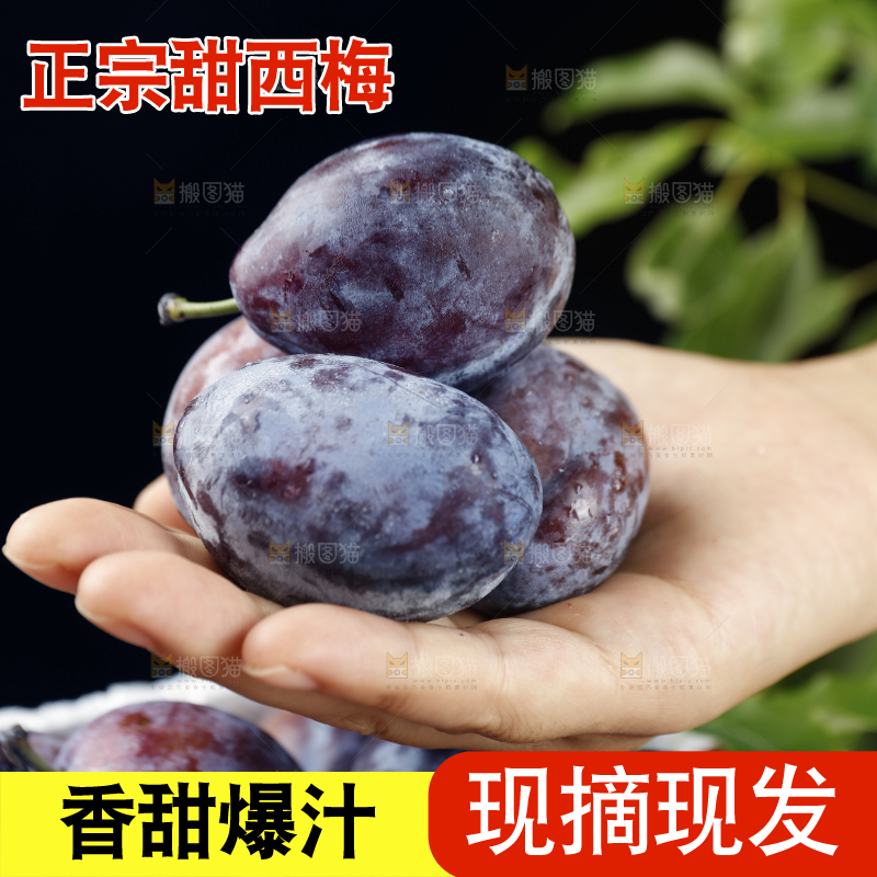 手上放着新鲜大西梅