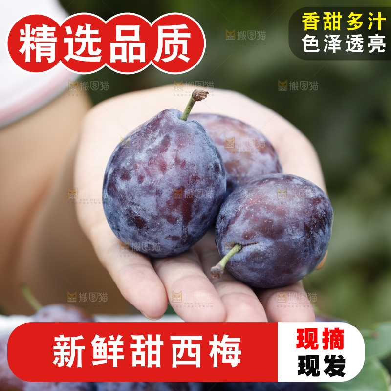 手上放着新疆大西梅