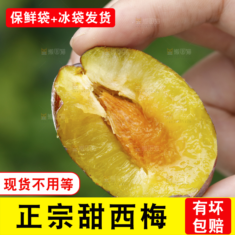 手上拿着新鲜西梅果肉