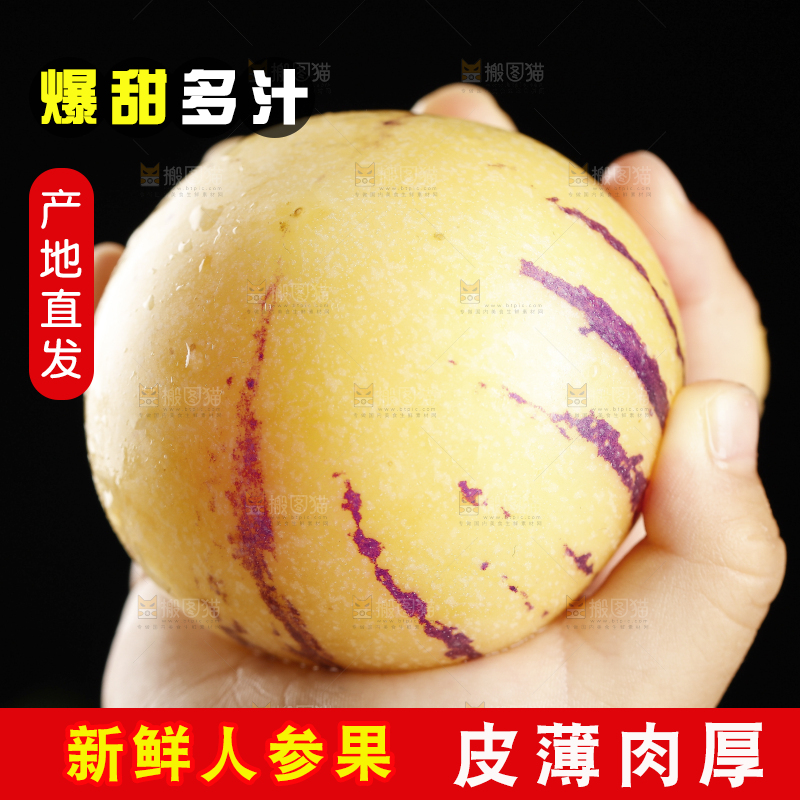 手上拿着的新鲜人参果