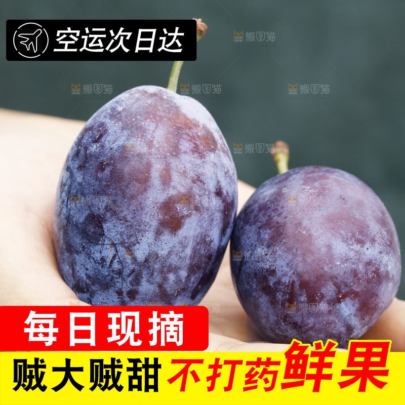 手上放着新疆大西梅