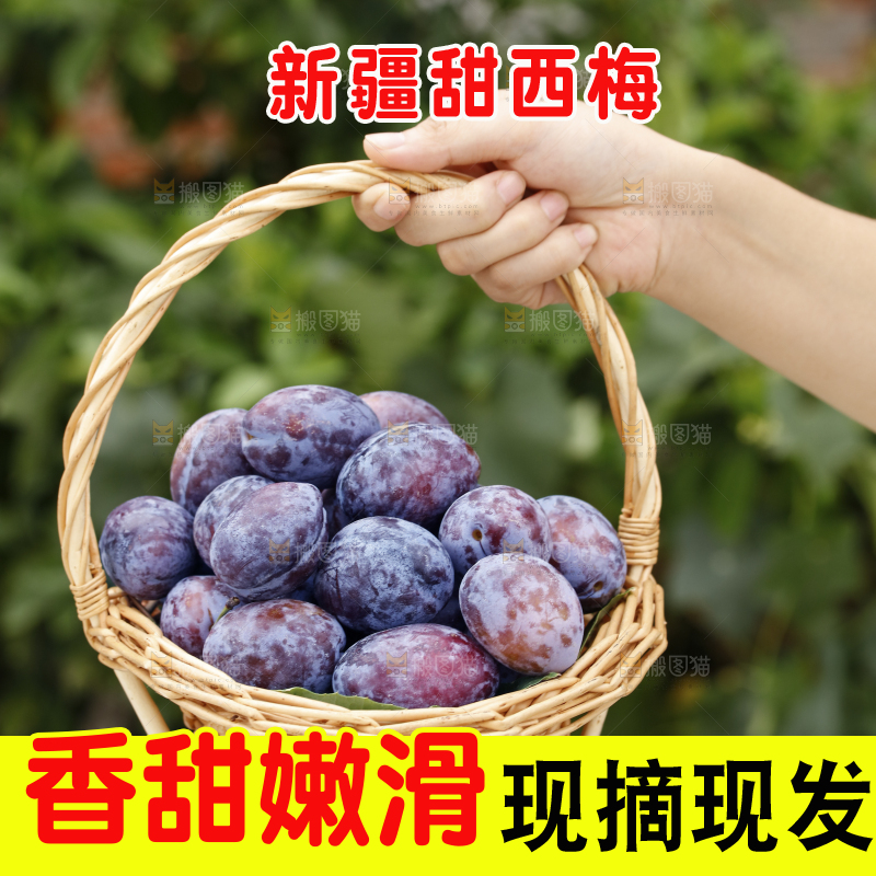 手里提着一篮新鲜西梅