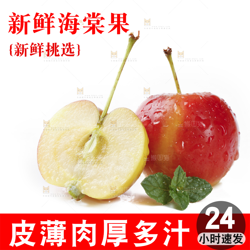 白底上的东北海棠果