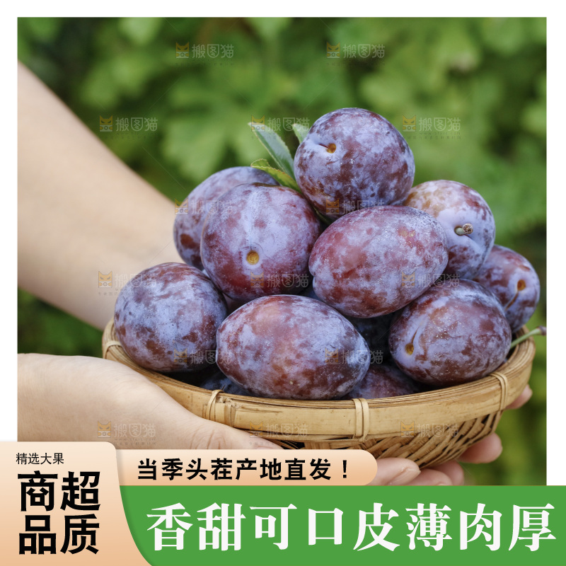 手上拿着一筐新鲜大西梅