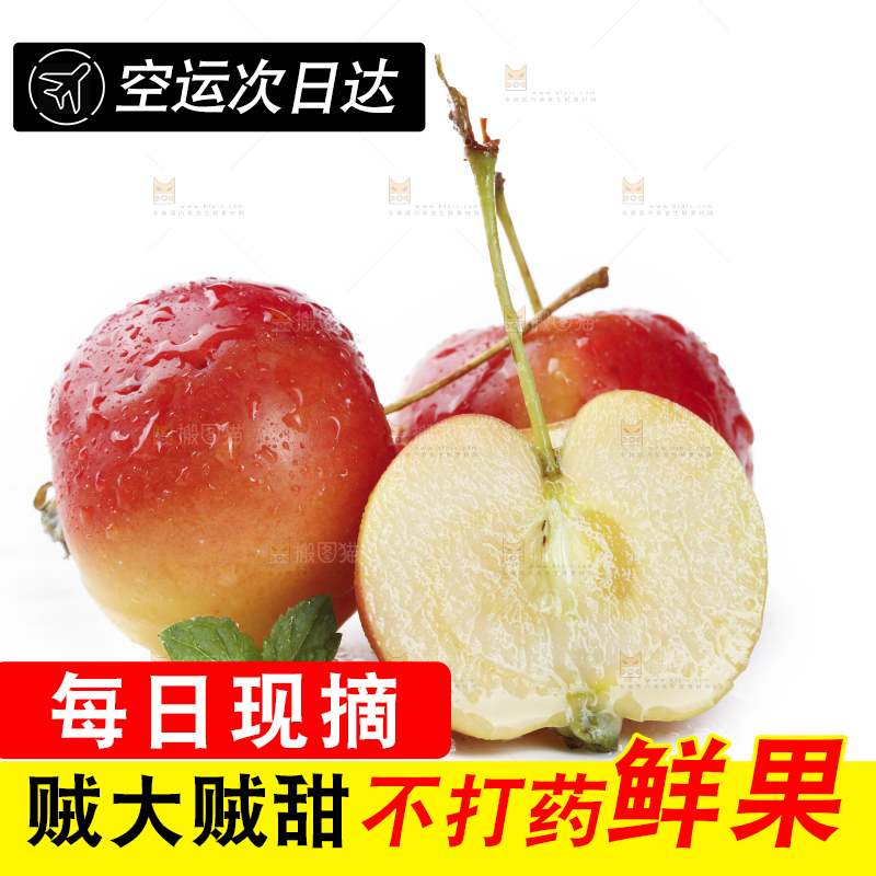 白底上的东北海棠果