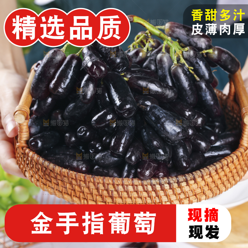 手端着一篮蓝宝石葡萄