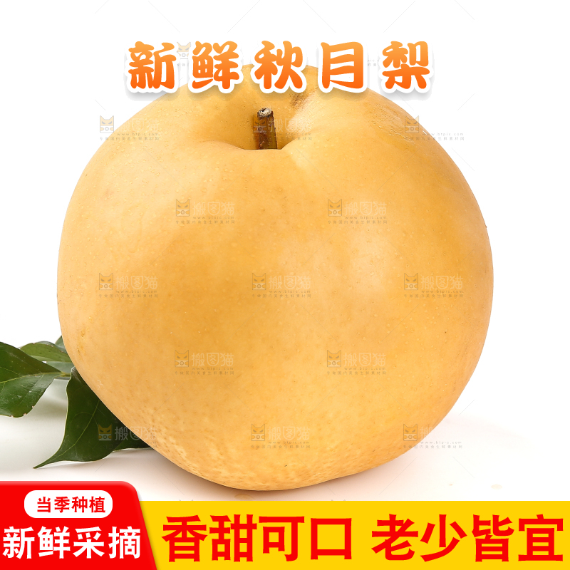 白底上放着的秋月梨