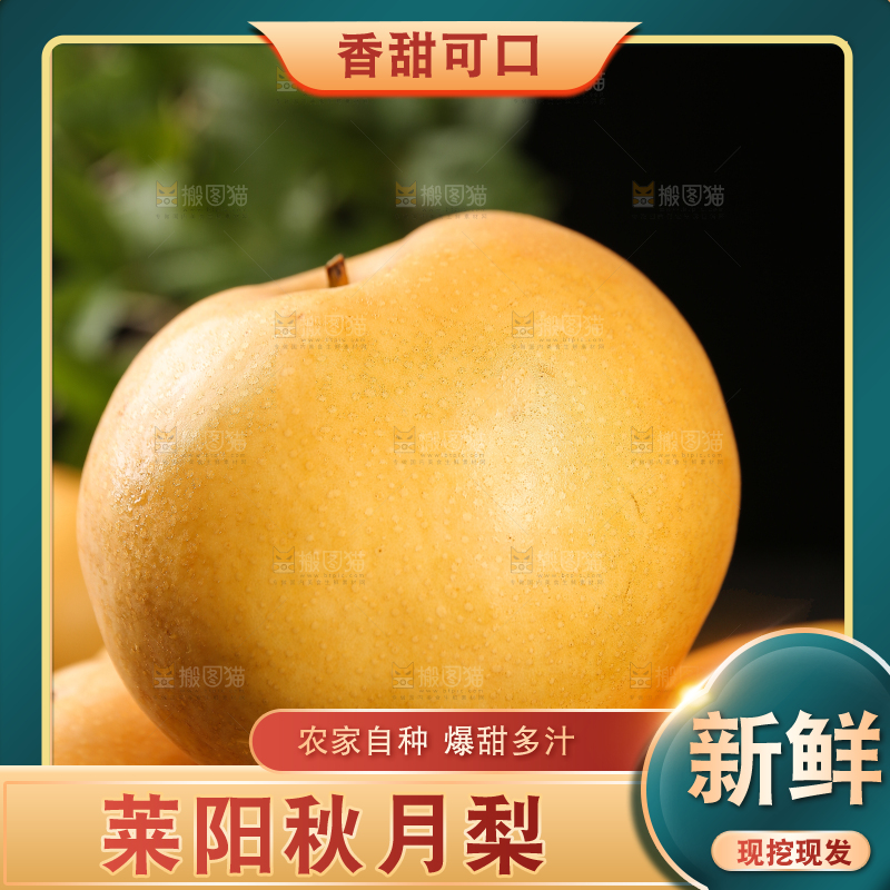 堆放着的秋月梨
