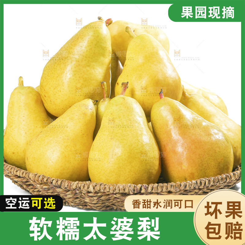 白底上的一篮太婆梨