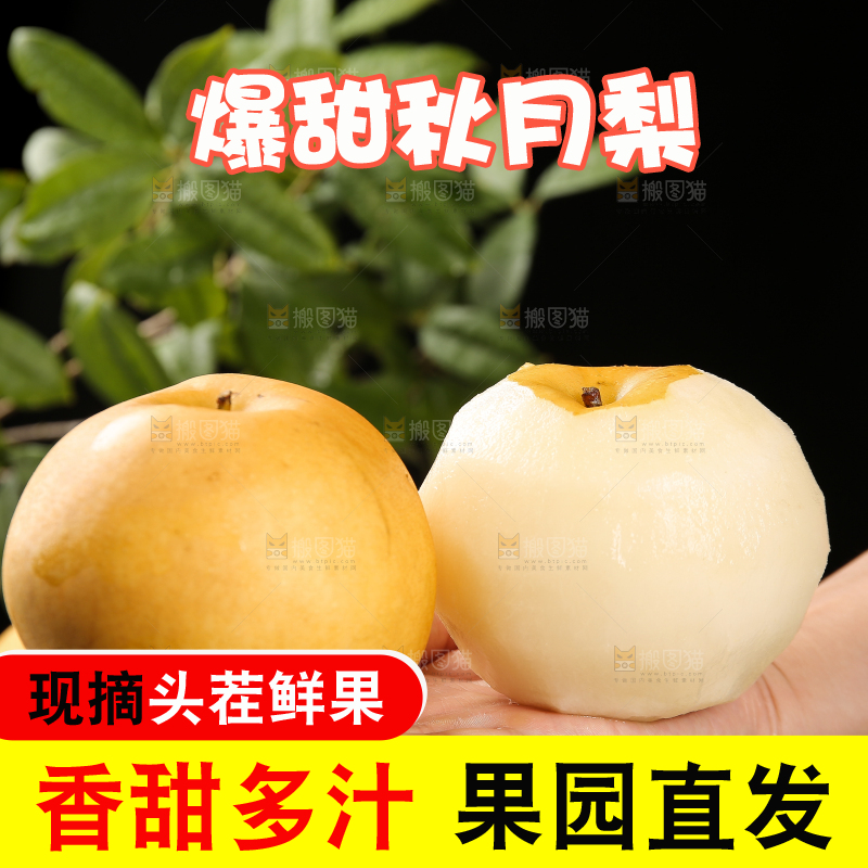 手里放着新鲜秋月梨