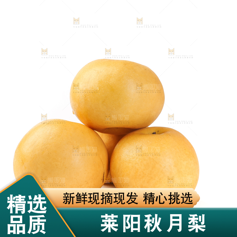 白底上摆放着秋月梨