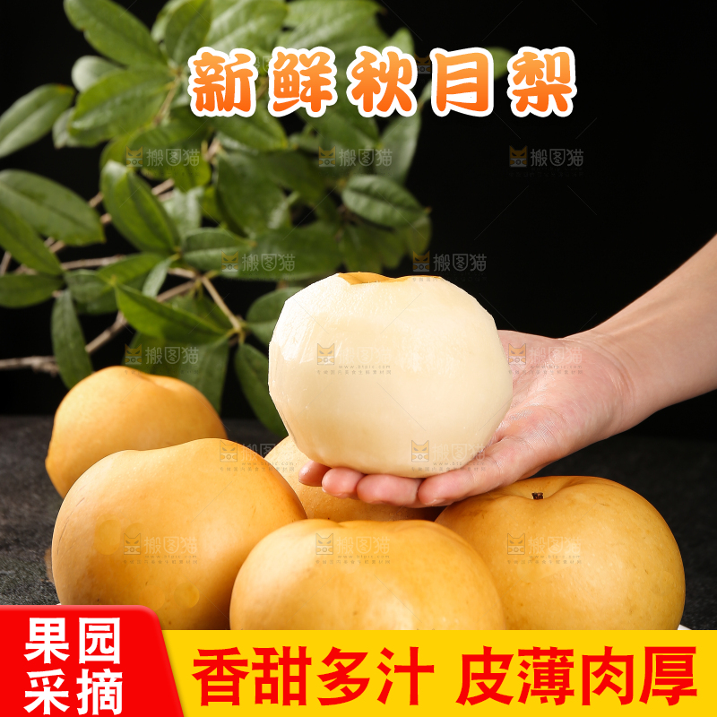 手里放着新鲜秋月梨