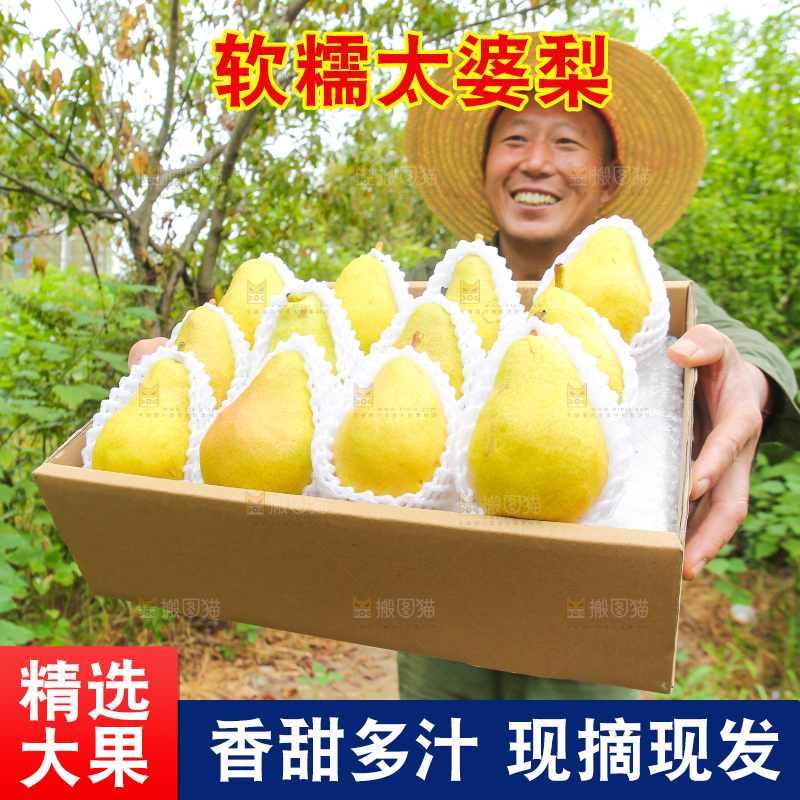 农民手里拿着一箱太婆梨