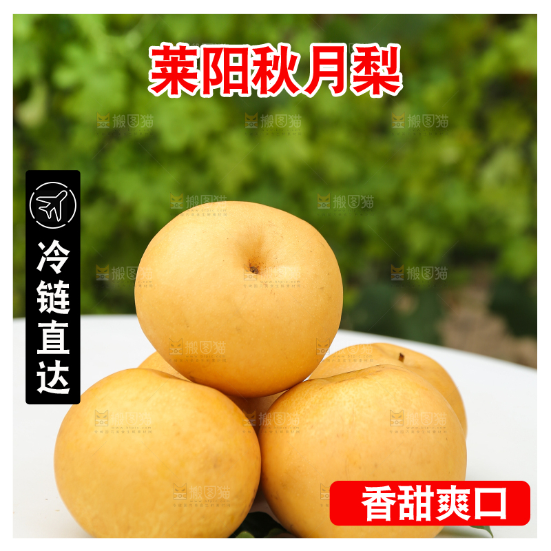 桌子上摆放着的秋月梨