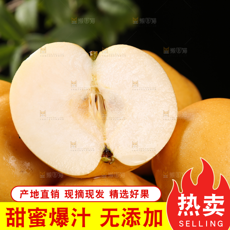 篮子里的莱阳秋月梨