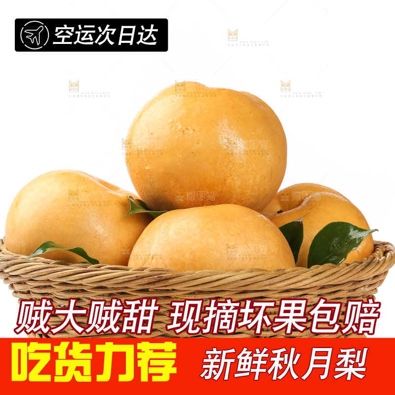 一篮莱阳秋月梨