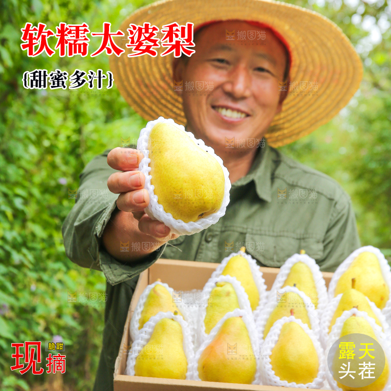 农民手里拿着一箱太婆梨