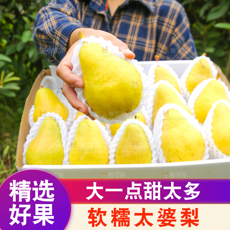 手里拿着新鲜太婆梨