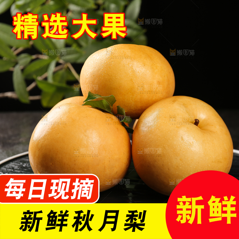 盘子里的莱阳秋月梨