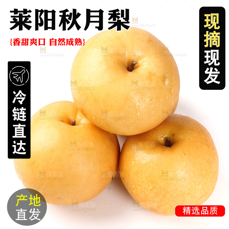 白底上摆放着秋月梨