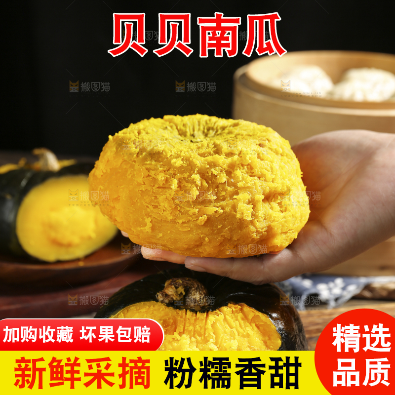 手上拿着板栗贝贝南瓜