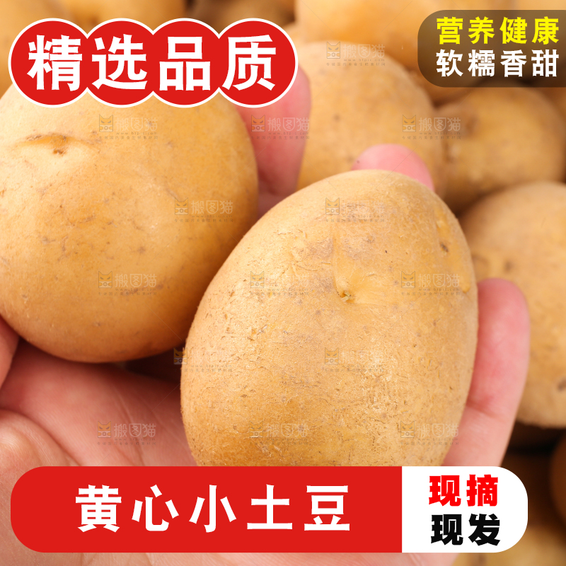 手里拿着新鲜小土豆