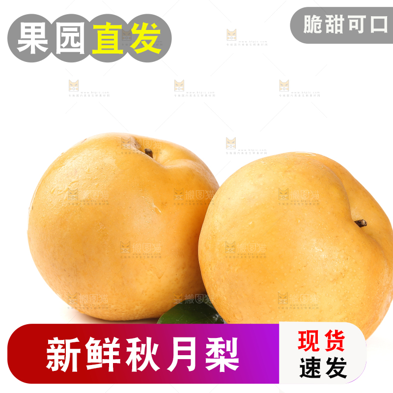 白底上摆放着秋月梨