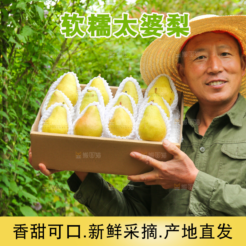 农民手里拿着一箱太婆梨