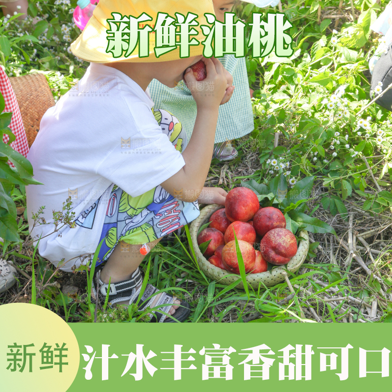 小孩正在吃着新鲜油桃