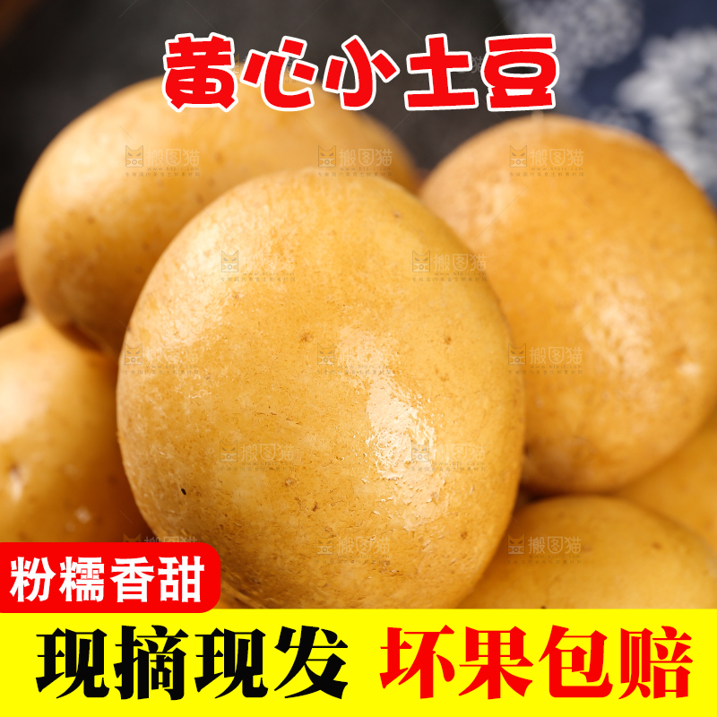 堆放着的黄心小土豆