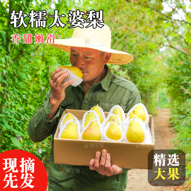 农民手里拿着一箱太婆梨