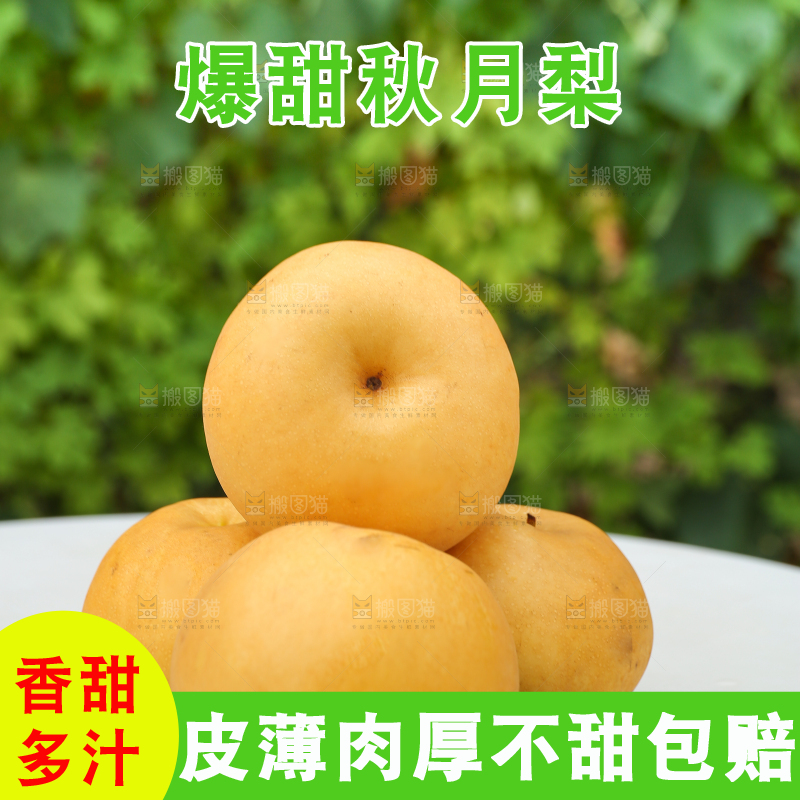 桌子上摆放着的秋月梨