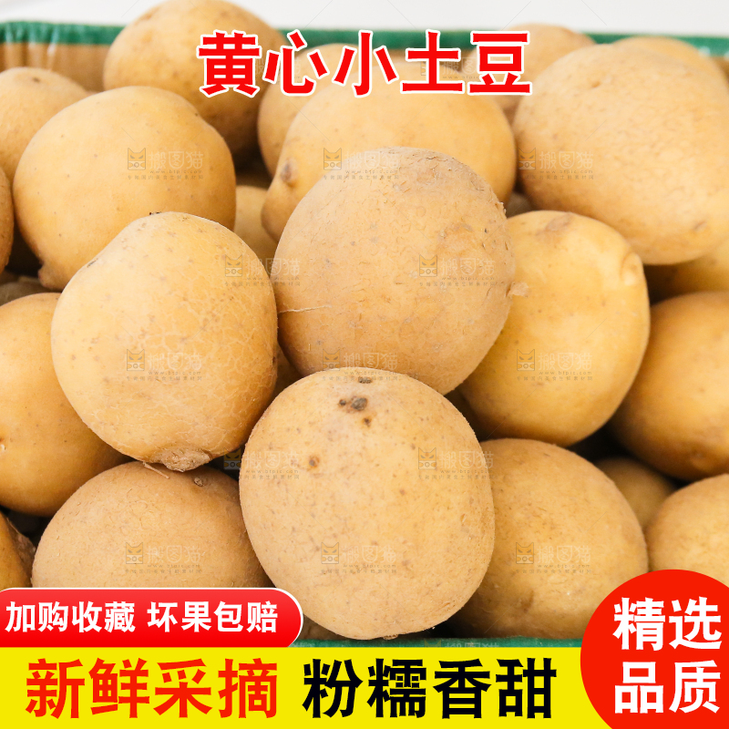 箱子里的新鲜小土豆
