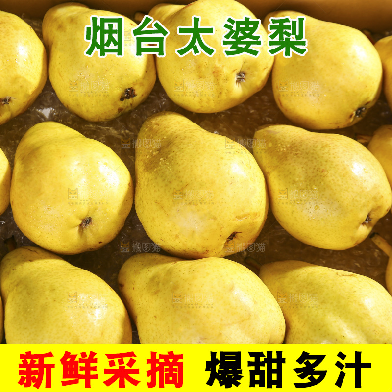 箱子里的烟台太婆梨